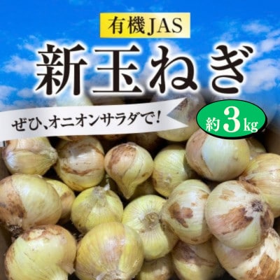 【先行受付】 有機JAS 新玉ねぎ 約3kg