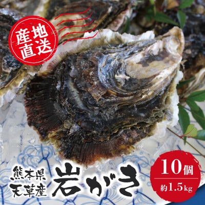 天草岩牡蠣10個入り