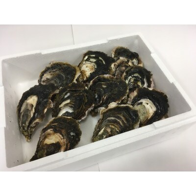 天草岩牡蠣10個入り