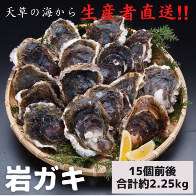 天草岩牡蠣15個前後入り
