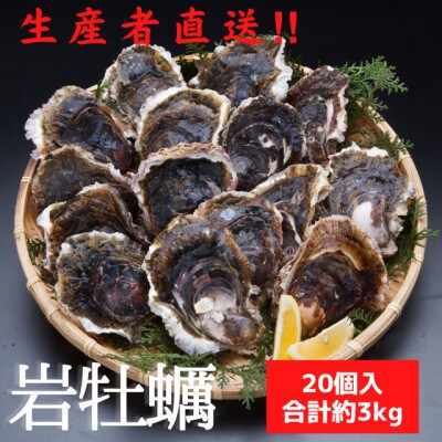 天草岩牡蠣20個入り