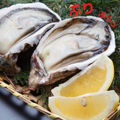 天草岩牡蠣20個入り