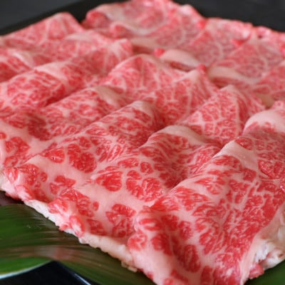 厳選されたGI認証　くまもとあか牛　特選すき焼き用　500g(上天草市)