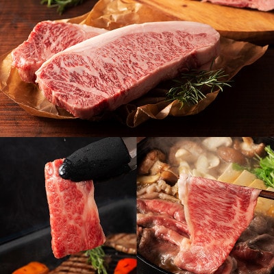 くまもと黒毛和牛【藤彩牛】サーロインステーキと2種の食べ比べセット計700g(上天草市)