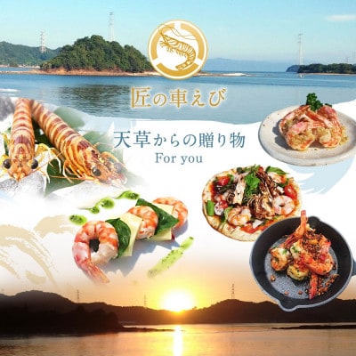 【上天草ブランド認証品】活、匠の車えび 上天草産  550g(約14～21尾)