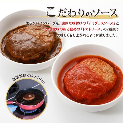 みしまの煮込みハンバーグ(デミグラス10個・トマトソース10個)