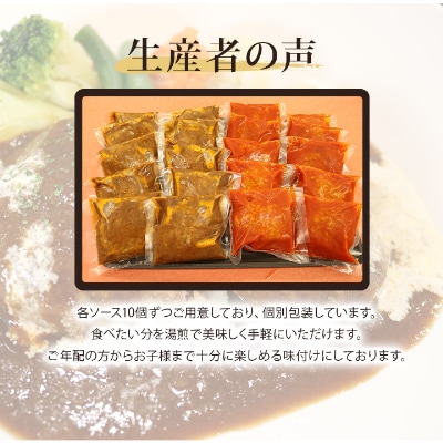 みしまの煮込みハンバーグ(デミグラス10個・トマトソース10個)