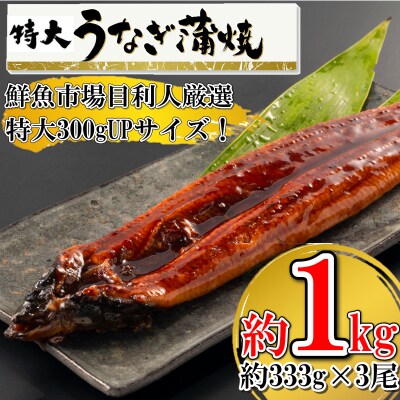 約1kg うなぎ蒲焼 3尾 有頭 1尾あたり約333g お礼品詳細 ふるさと納税なら さとふる