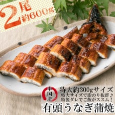 うなぎ蒲焼【有頭・中国産】 約600g(約300g&times;2尾)