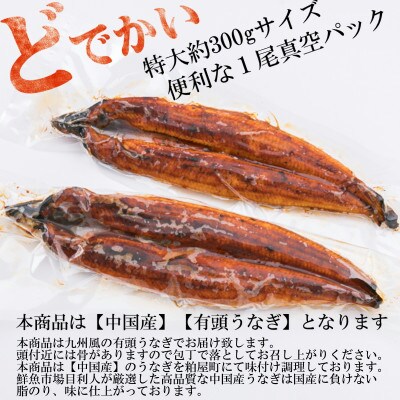 うなぎ蒲焼【有頭・中国産】　約600g(約300g×2尾)