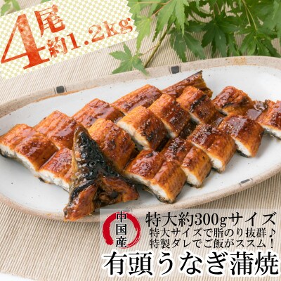 うなぎ蒲焼【有頭・中国産】　約1.2kg(約300g×4尾)