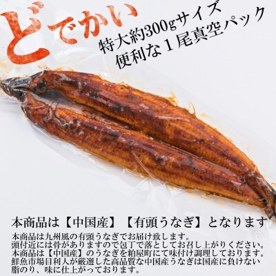うなぎ蒲焼【有頭・中国産】　約1.2kg(約300g×4尾)