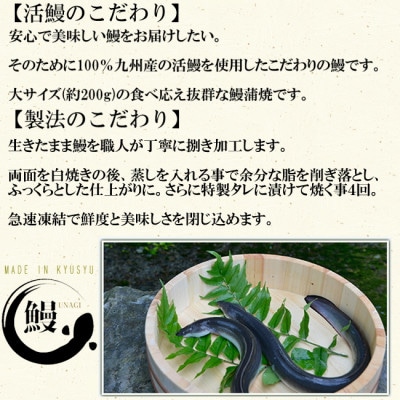 【国内産】有頭うなぎ蒲焼 2尾 (計400g前後)(粕屋町)