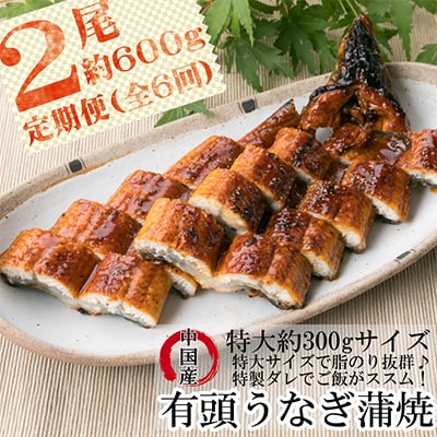 2023年4月発送開始『定期便』うなぎ蒲焼 有頭/中国産 2尾(約600g)全6回
