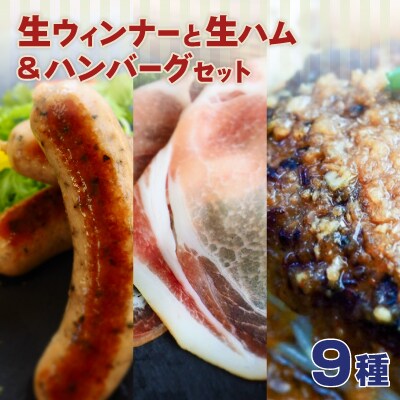 うえすたんの手造り生ウィンナーと生ハム&ハンバーグのHセット