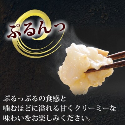 やまや　博多もつ鍋 あごだし醤油味(3～4人前)(粕屋町)