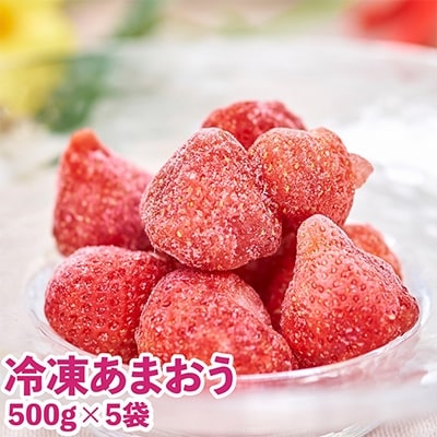 【2024年12月中旬より順次発送】福岡産冷凍あまおう500g×5袋(粕屋町)