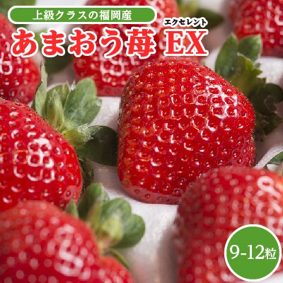 上級クラスの福岡産あまおう苺　EX(エクセレント)9-12粒(粕屋町)