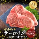 【A4～A5】博多和牛サーロインステーキセット 500g(250g×2枚)