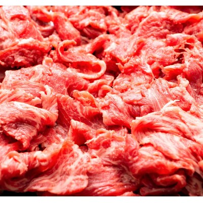 【A4～A5】博多和牛切り落とし　500g(粕屋町)