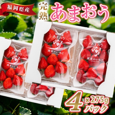 暖家のいちご 完熟あまおう 275g×4パック(粕屋町)