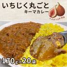 【はかた地どり使用】「博多とよみつひめ」のいちじくゴロっとカレー(170g×20袋)(粕屋町)