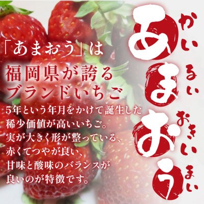 【2ヵ月毎定期便】「博多あまおう」の冷凍あまおう 合計1.5kg(粕屋町)全5回
