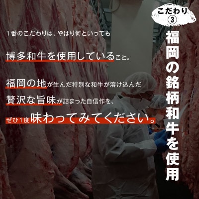 100%博多和牛のキーマカレー (180g×3パック)(粕屋町)