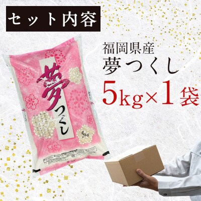 【3ヵ月毎定期便】福岡の人気銘柄!!福岡県産夢つくし5kg(粕屋町)全2回