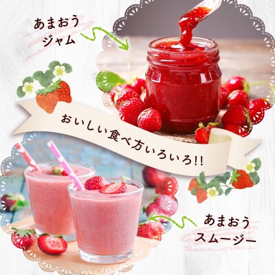 【12月より順次発送】福岡県産 あまおう 500g (250g×2パック)(粕屋町)