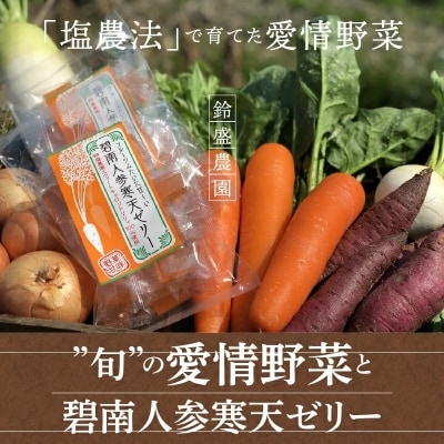 鈴盛農園”旬”の愛情野菜と碧南人参寒天ゼリー H022-011
