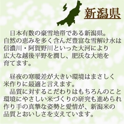 新潟県産コシヒカリ 無洗米 5kg ※定期便12回 下旬発送 H074-372