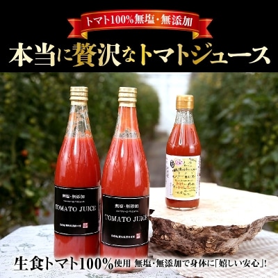 トマト100%無塩・無添加　本当に贅沢なトマトジュース H004-070