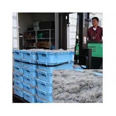 しらす屋のしらす干し1.5kg 食べ比べセット H006-004