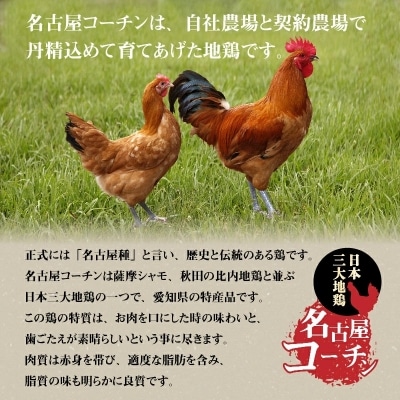 年内発送  元祖白だし濃厚スープ 名古屋コーチンつみれ鍋セット3～4人前きしめん付 H001-071