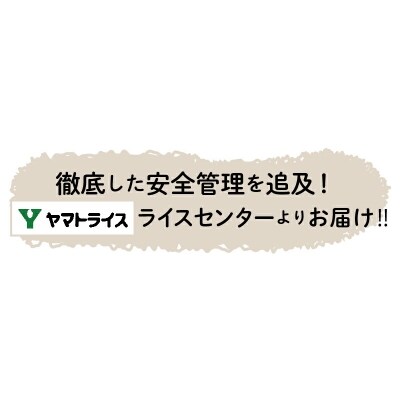 やわらかい玄米 900g×4袋 H074-055