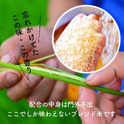 【お米マイスター】ほっ懐かし米　5kg　H056-131
