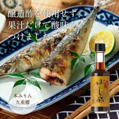 本みりんと調味料の詰め合わせセット　H002-100