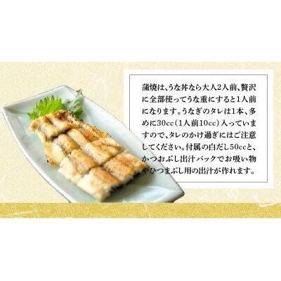 鰻三昧!「うなぎ処はちすか」の蒲焼、白焼、肝焼、三種セット H026-029