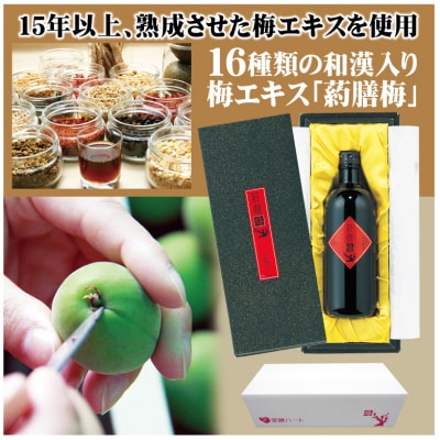 和漢入り梅エキス　葯膳梅 H001-063