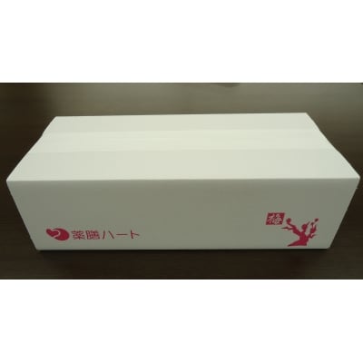 和漢入り梅エキス　葯膳梅 H001-063