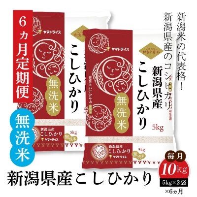 新潟県産コシヒカリ 無洗米 10kg ※定期便6回 下旬発送 H074-164