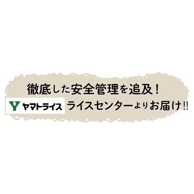 新潟県産コシヒカリ 無洗米 10kg ※定期便6回 下旬発送 H074-164