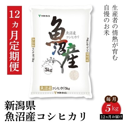 新潟県魚沼産コシヒカリ 5kg　※定期便12回　下旬発送　H074-370 | ふるさと納税のお礼品