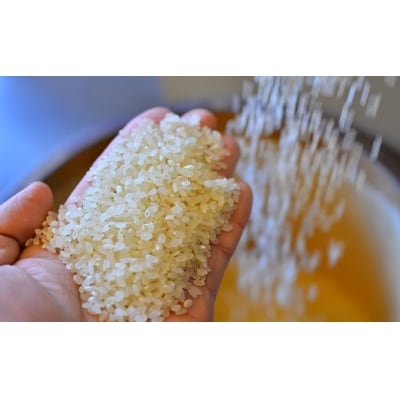 【お米マイスター】究極　喜重ーKIJYUー　定期便(10kg×12回)　H056-134