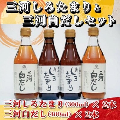 三河しろたまりと三河白だしセット　H033-013