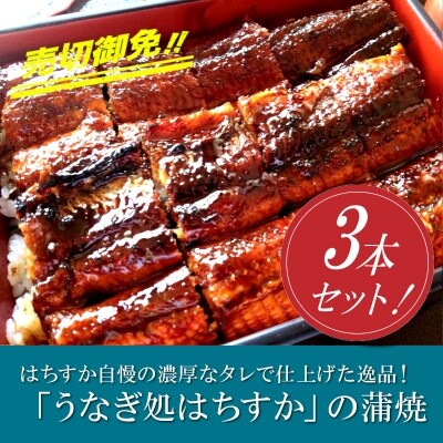 三河一色産 鰻の蒲焼き 3尾 計540g以上 うなぎ処はちすか H026-031