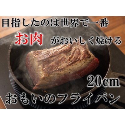 おもいのフライパン20cm お肉がおいしく焼けるフライパン H051-102