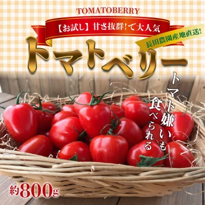 【お試し】甘さ抜群!で大人気　ミニトマト　トマトベリー　800g　H004-114