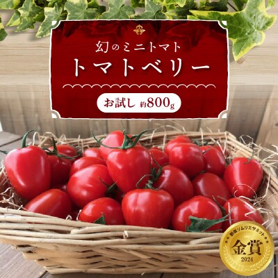 【お試し】甘さ抜群!で大人気　ミニトマト　トマトベリー　約800g　H004-114